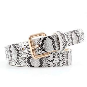 Accessories - New Snakeskin Print Belt with Gold Buckle Accessories - New Snakeskin Print Belt with Gold Buckle